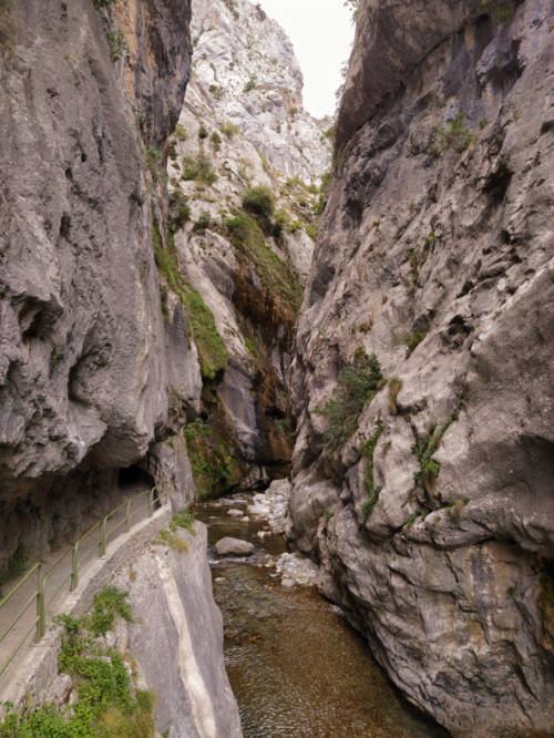 A tunnel along the trail