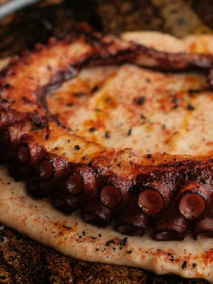 A grilled octopus dish, food of northern Spain